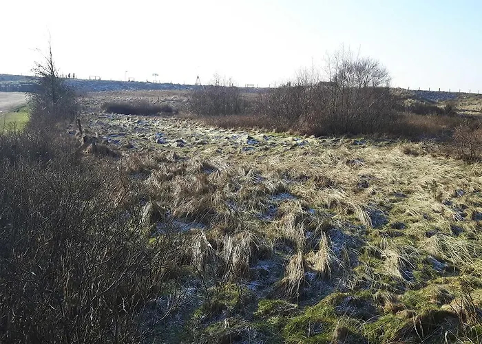 Casa de Férias Deichblick_spo *